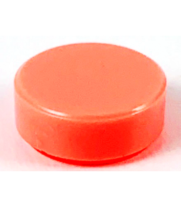 Coral Tile, Round 1 x 1