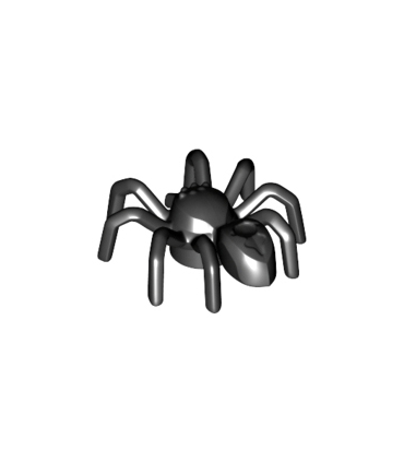 Black Spider with Elongated Abdomen