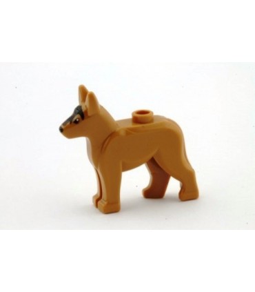 Medium Nougat Dog Alsatian / German Shepherd (Police Dog) with Black Eyes and Forehead Pattern