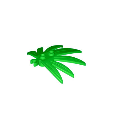 Bright Green Plant Leaves 6 x 5 Swordleaf with Open O Clip Thick