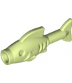 Yellowish Green Fish