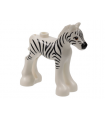 White Horse, Friends, Foal with Dark Orange Eyes, Black Eyebrows, and Zebra Stripes Pattern
