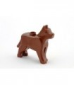 Reddish Brown Dog