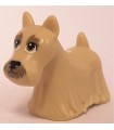 Tan Dog, Terrier Scottish (Scottie) with Dark Tan Eyes, Eyebrows, and Muzzle Pattern