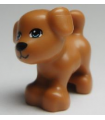 Medium Nougat Dog, Friends, Puppy, Standing with Bright Light Blue Eyes, Black Nose and Mouth Pattern (Bruno / Coco / Pippa)