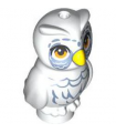 White Owl, Elves with Yellow Beak, Orange Eyes, Sand Blue Feathers and Around Eyes Pattern