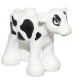 White Calf Baby Cow, Friends with Reddish Brown Eyes and Black Spots Pattern