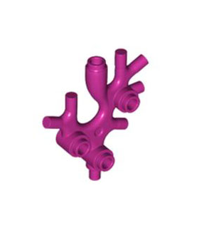 Magenta Plant Thallus / Seaweed / Coral