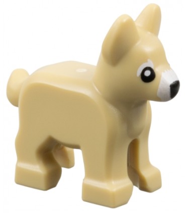 Tan Dog, Alsatian / German Shepherd, Puppy with White Muzzle and Eyebrows, Black Eyes and Nose Pattern