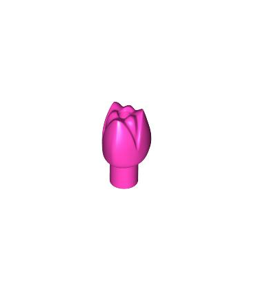 Dark Pink Plant Flower Tulip with Bar and Small Pin Hole