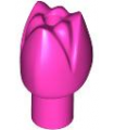 Dark Pink Plant Flower Tulip with Bar and Small Pin Hole