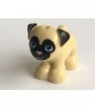 Tan Dog Pug with Black Face and Ears Pattern
