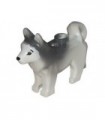 White Dog Husky with Black Eyes, Black Nose and Marbled Dark Bluish Gray Ears and Back Pattern